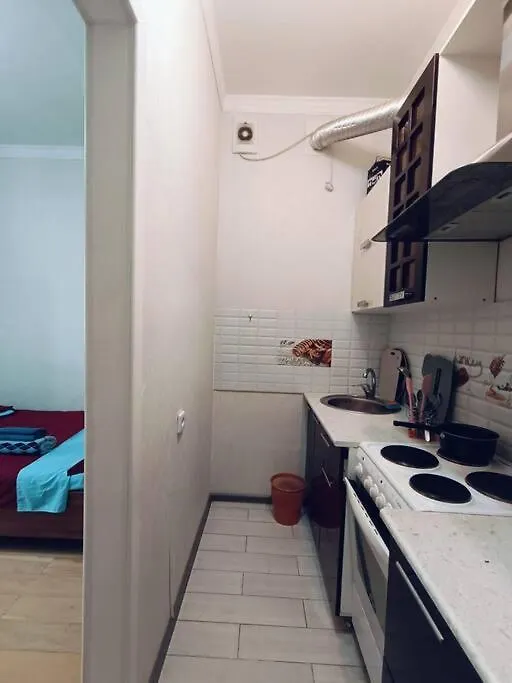 Avicenna Apartment Nur-Sultan